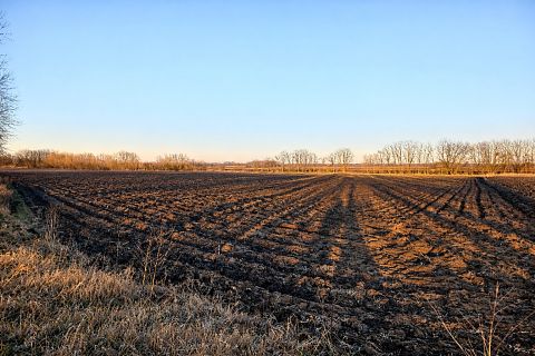 Eladó Telek 4244 Újfehértó 