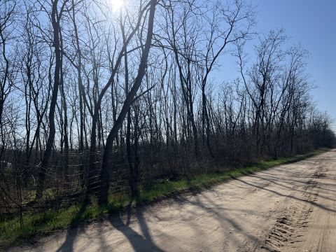 Eladó Telek 2735 Dánszentmiklós , Központhoz közel
