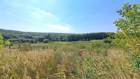 Eladó Telek 2193 Galgahévíz , Építési telek eladó közel a természethez