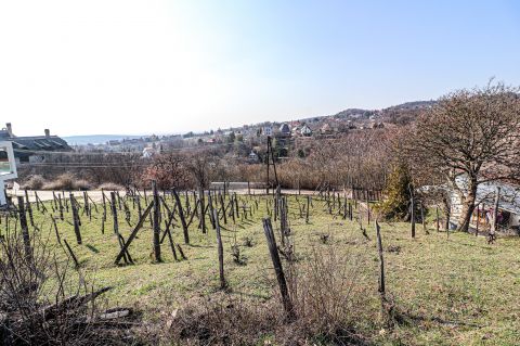 Eladó Telek 8096 Sukoró , Panorámás telek a Présház utca alatt