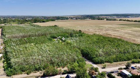 Eladó Telek 2230 Gyömrő , Ipari Telek, Központi Helyen