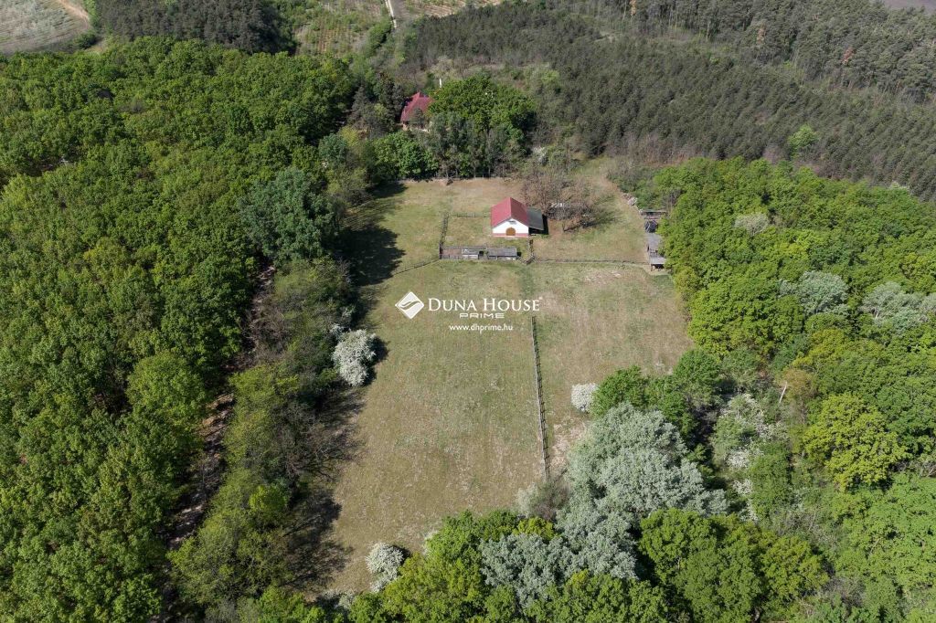 Eladó ház, Debrecen