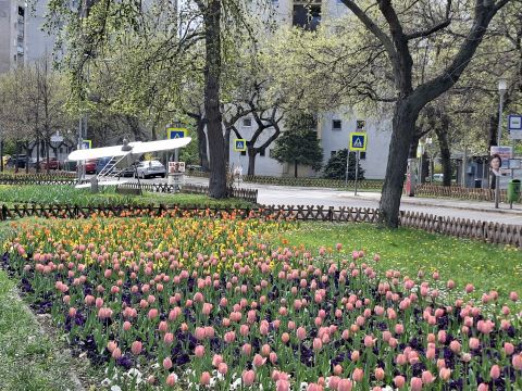 Eladó Lakás 1098 Budapest 9. kerület 