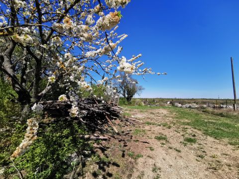 Eladó Telek 2045 Törökbálint , aszfaltozott út, víz, villany, csatorna telken belül