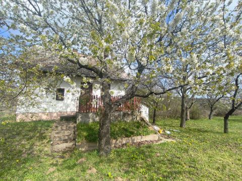 Eladó Ház 8096 Sukoró , 8096 Sukoró, zártkert