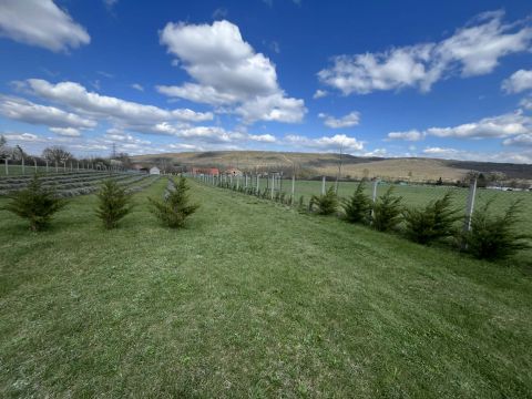 Eladó Telek 2100 Gödöllő Klapka utcai  buszforduló