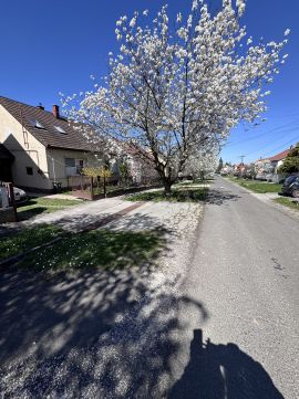 Eladó Ház 7400 Kaposvár 
