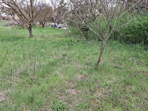 Eladó Telek 2523 Sárisáp 