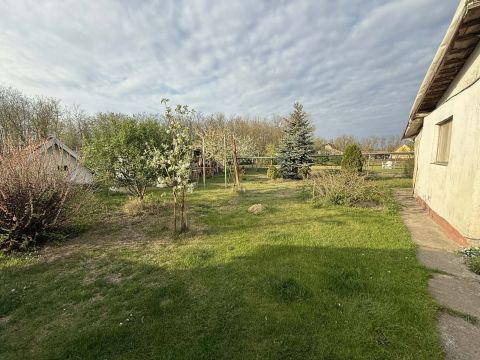 Eladó Ház 6000 Kecskemét Kadafalva tanya garázzsal, tóval és melléképülettel