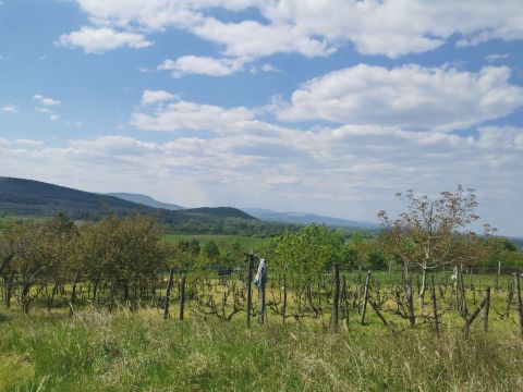 Eladó Ház 2500 Esztergom 