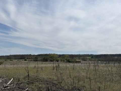 Eladó Telek 2100 Gödöllő Külterületi szántó