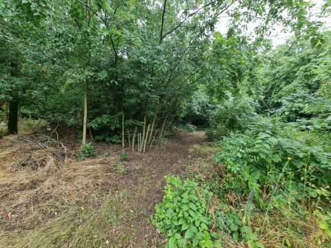 Eladó Telek 2252 Tóalmás Öregszőlő dűlő