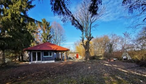 Eladó Ház 6098 Tass , Nádas- nyírfa sarok