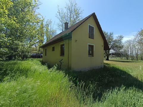 Eladó Mezőgazdasági 6050 Lajosmizse , Lajosmizsén eladó tanya,  4,3 hektárnyi területtel