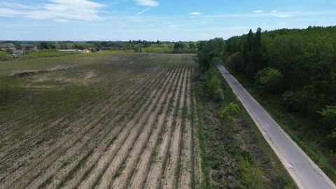Eladó Telek 2200 Monor , Monor és Monorierdő között beépíthető erdő