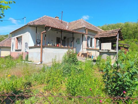Eladó Ház 8795 Zalaszentgrót 