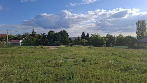 Eladó Telek 2162 Őrbottyán , Nagy telek építési lehetőséggel