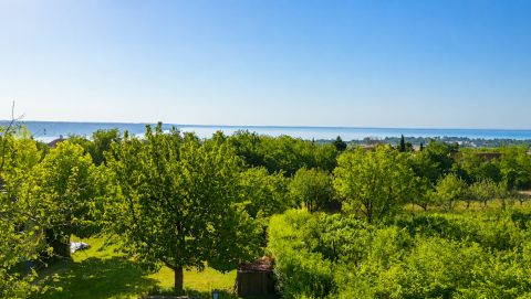 Eladó Telek 8220 Balatonalmádi , Fogoly utca közelében