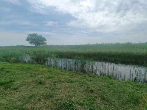 Eladó Ház 8630 Balatonboglár 
