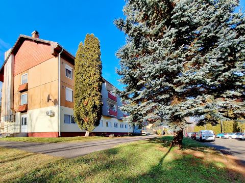 Eladó Lakás 8431 Bakonyszentlászló BAKONY SZÍVÉBEN ELADÓ GARZONLAKÁS!