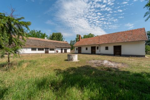 Eladó Ház 6781 Domaszék 