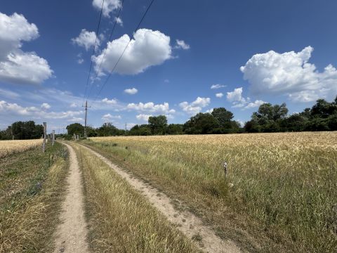 Eladó Telek 8200 Veszprém , Veszprém-Jutaspuszta