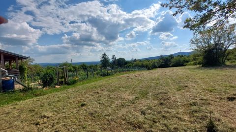 Eladó Telek 7628 Pécs , Pécs - Szabolcsfalu szőlőhegy