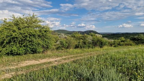 Eladó Mezőgazdasági 2092 Budakeszi , Farkashegyi repülőtér közelében