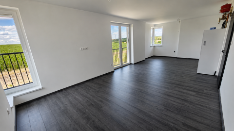 Eladó Lakás 2235 Mende Modern, 3 hálószobás új építésű lakás Mendén!