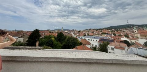 Eladó Lakás 7621 Pécs 