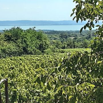 Eladó Ház 8272 Balatoncsicsó 