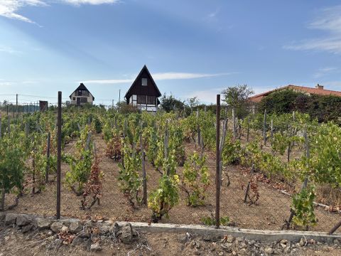 Eladó Telek 8095 Pákozd , Panorámás építési telek csendes környezetben
