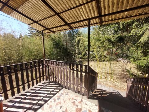 Eladó Ház 2100 Gödöllő Blaha