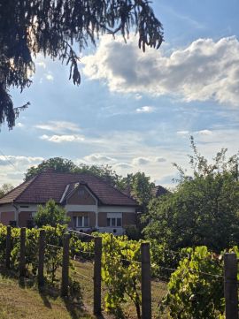 Eladó Ház 2637 Perőcsény 