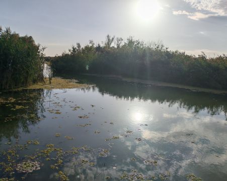 Eladó Ház 2336 Dunavarsány 