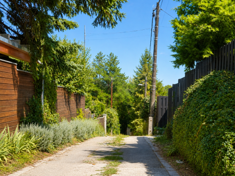 Eladó Telek 2000 Szentendre 