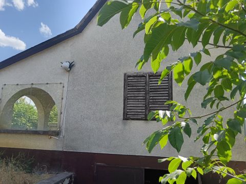 Eladó Ház 2713 Csemő , Csendes környéken