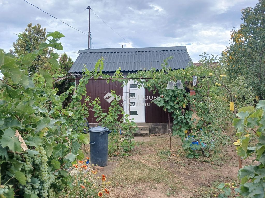 4251 Hajdúsámson , Hajdúsámson Szüret utca — 1/7