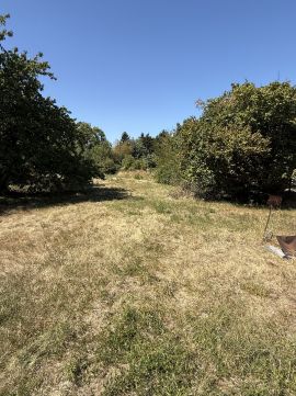 Eladó Telek 9481 Pinnye , Arany János utca vége