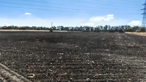 Eladó Telek 2060 Bicske , 1. számú főút mellett