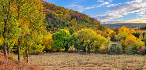 Eladó Telek 8443 Bánd , természetközeli, panorámás