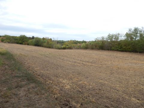 Eladó Telek 8135 Dég , Dég belterületi, 11.124 m2-es beépítetlen telek eladó